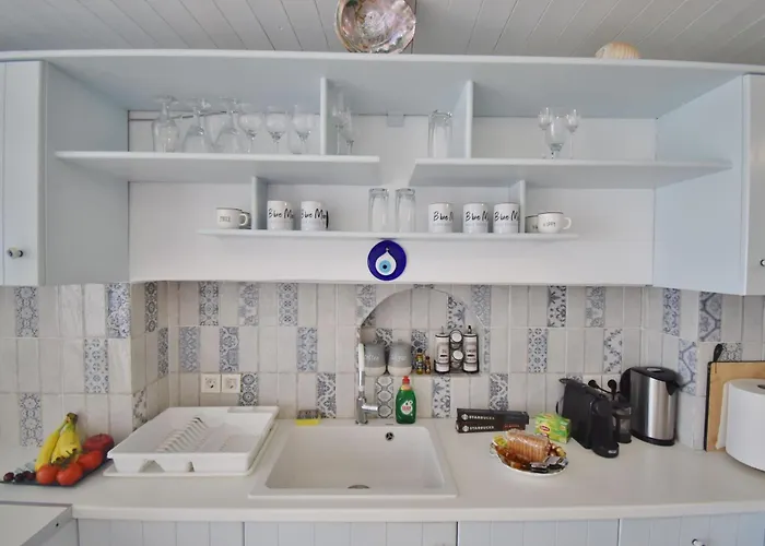 Blue Mare On The Holiday home *